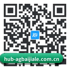 系统版 Android 二维码